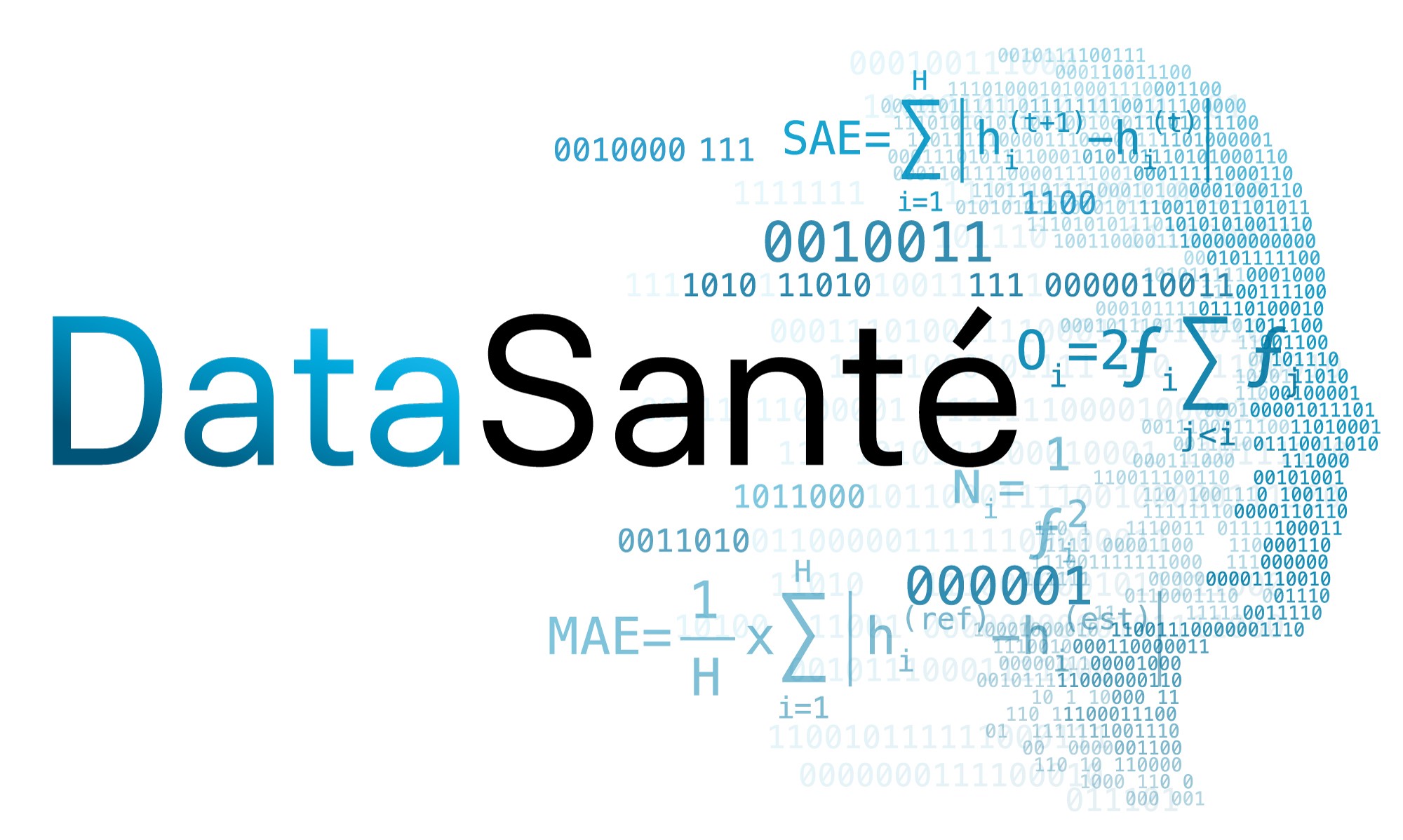Logo DataSanté