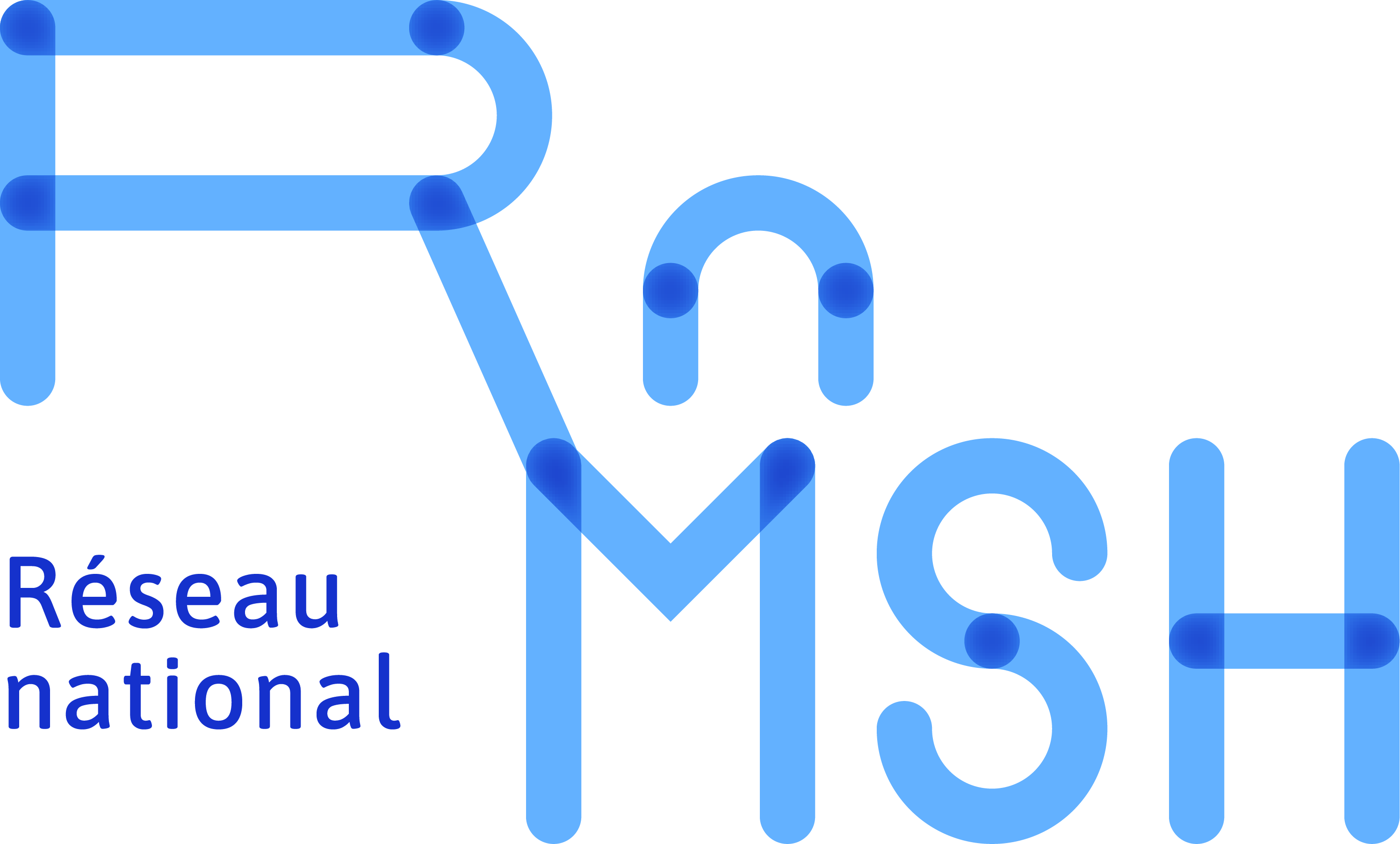 Logo RNSMH